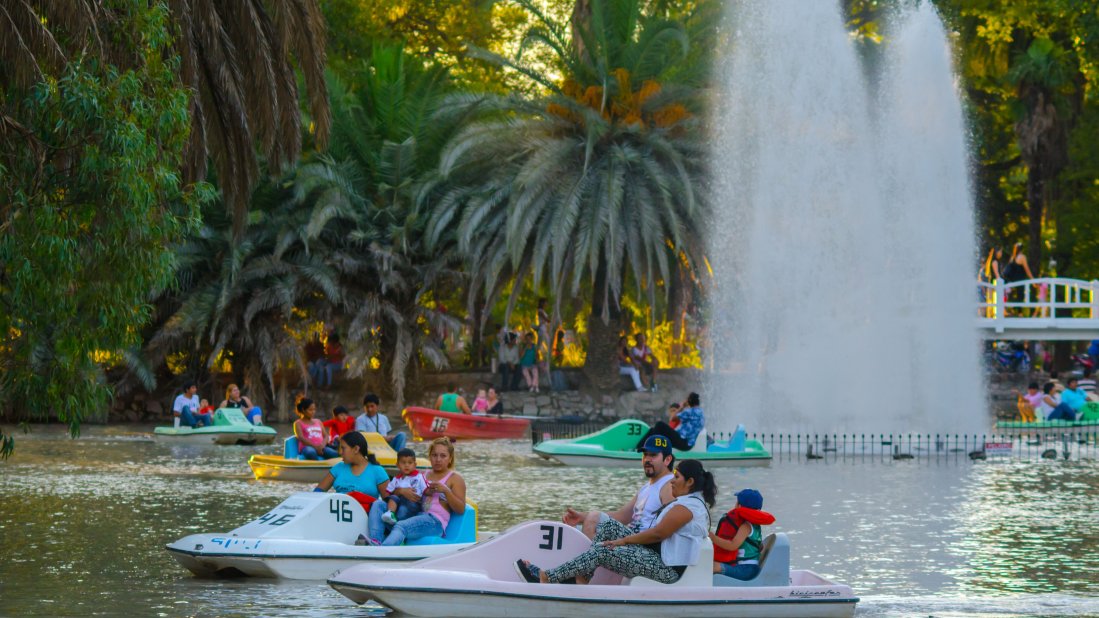 #DOMINGO 28: Conoce todas las actividades que te esperan